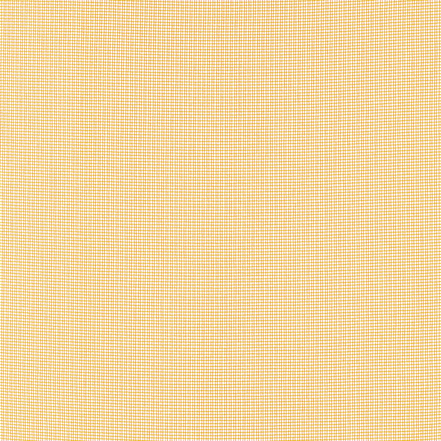Zulu 2 - Kvadrat