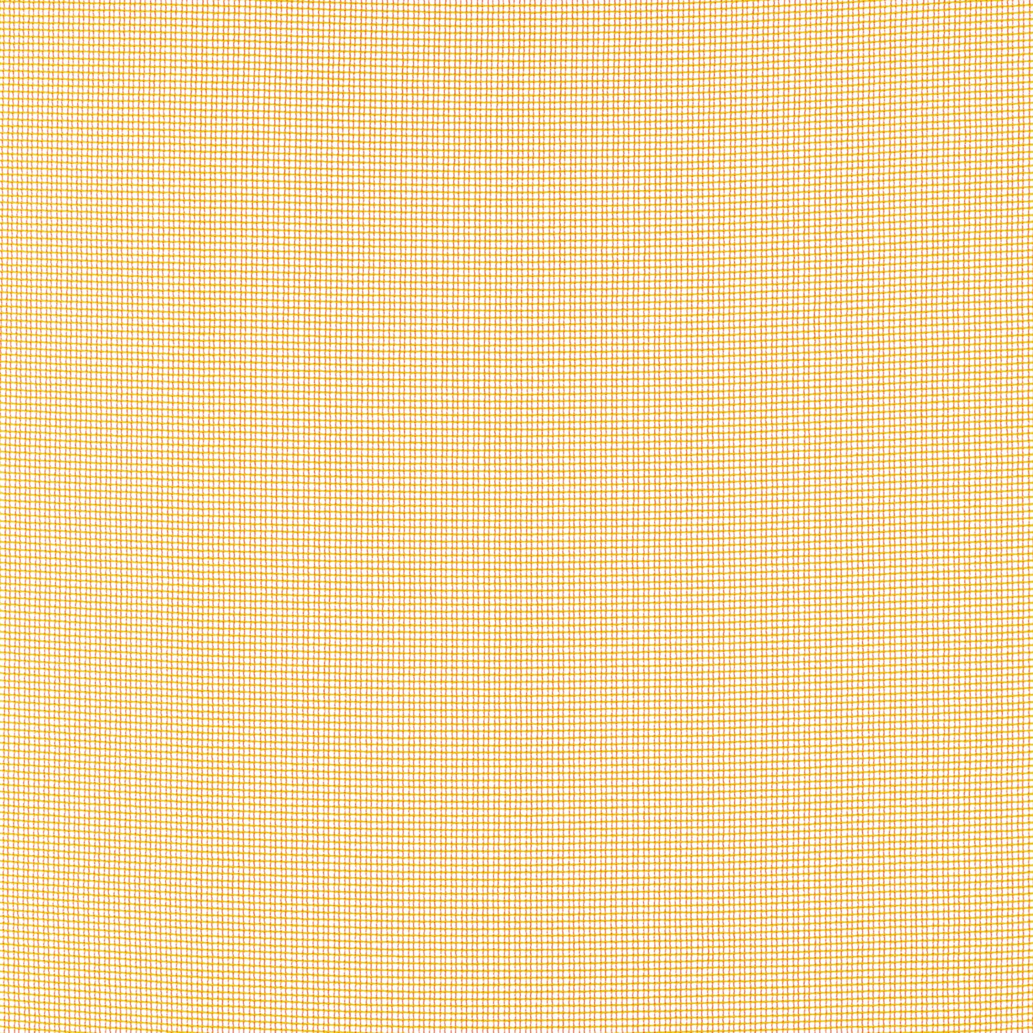 Zulu 2 - Kvadrat