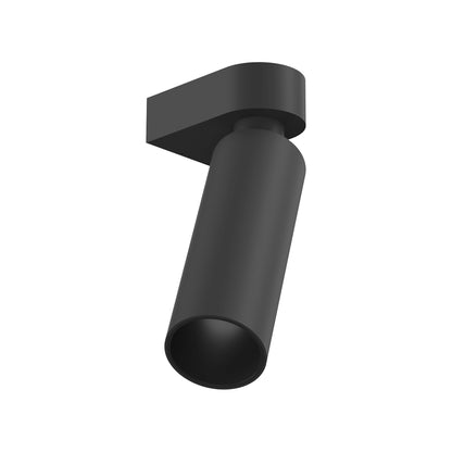 FLOS C1 Mono Spot Large Wall Anthracite