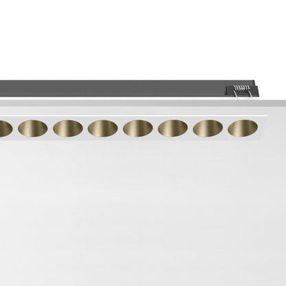 Light Shadow Line：12L Trim Bronze/White