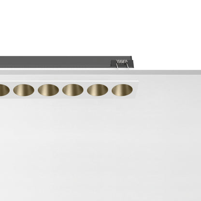 Light Shadow Line：8L Trim Bronze/White