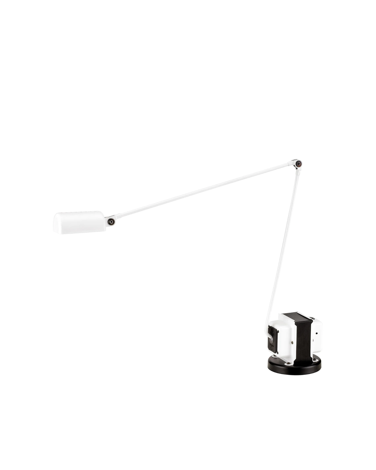 Daphine LED Table Lamp White - real-scale / table baseline y1499 / 2.00px=1mm