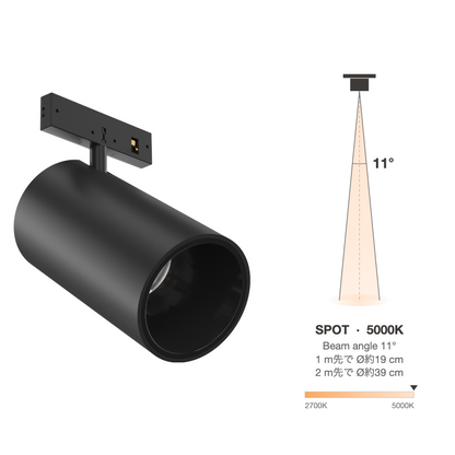 The Micro Running Magnet L.Shadow Spot Black Spot 11° 5000K