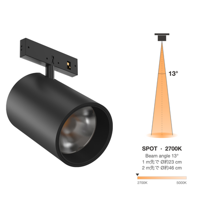 The Micro Running Magnet Spot Black Spot 13° 2700K