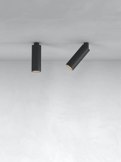 C1