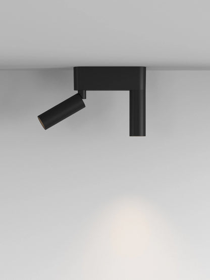 C1